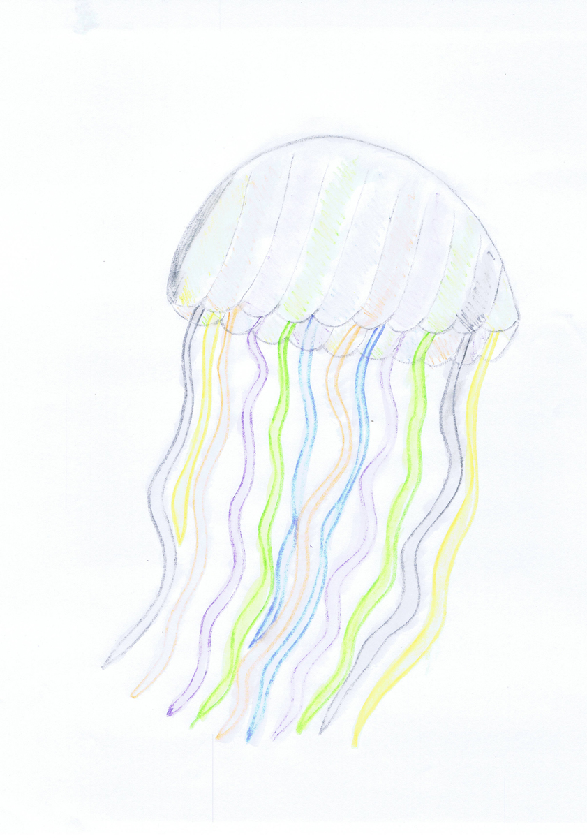 AndreaInturrisi 2020 09 07 12 56 38