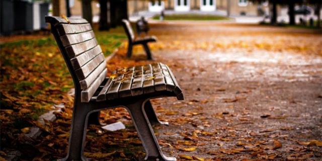 ffg vancouver report